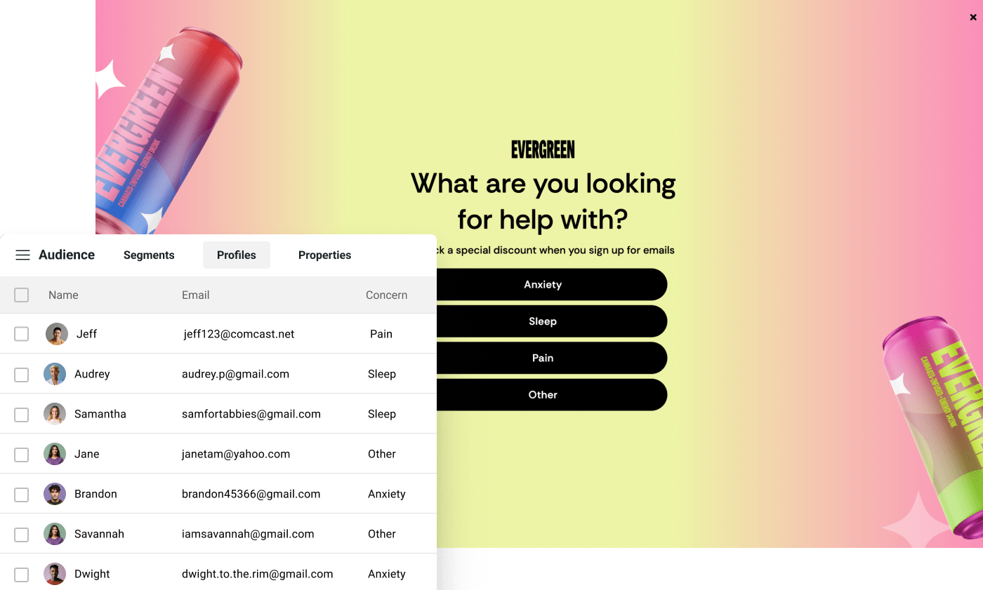 segmentation 