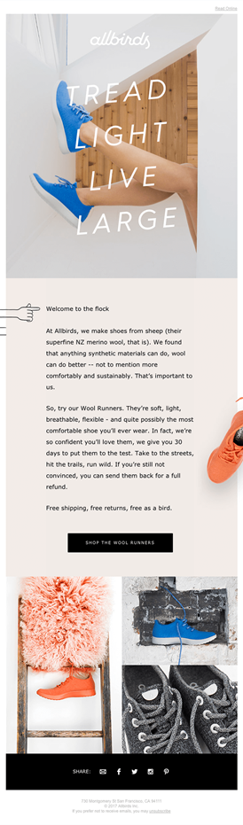 Allbirds welcome email