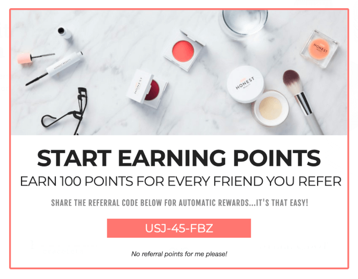 Loyalty Program Referral Promotion